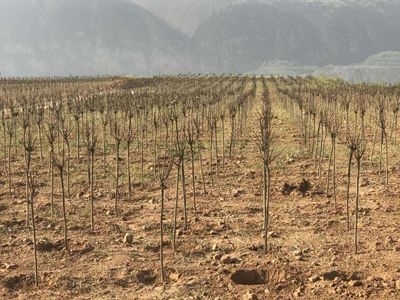 1497580322497976.jpg 1497580322497976.jpg